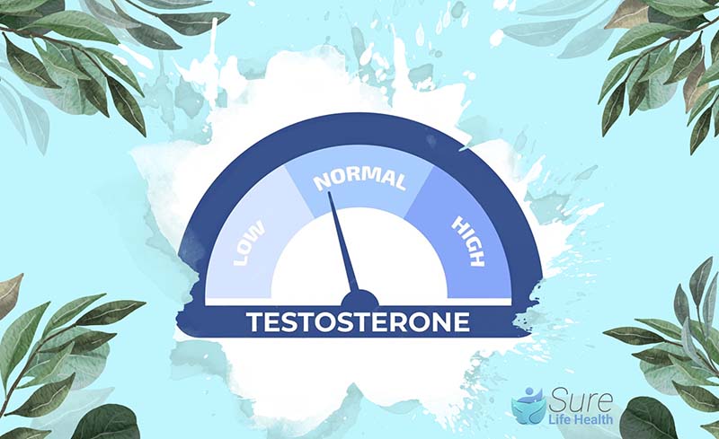 Does Magnesium Boost Testosterone 