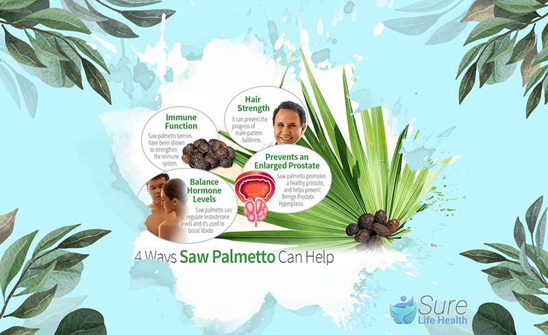 Does Saw Palmetto Increase Testosterone Levels