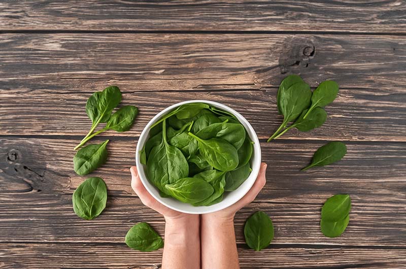 Does Spinach Help You Lose Weight 