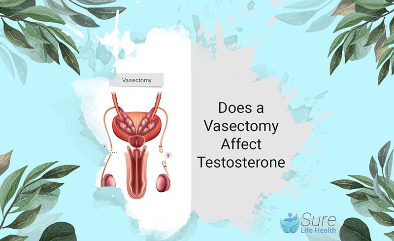 Does a Vasectomy Affect Testosterone