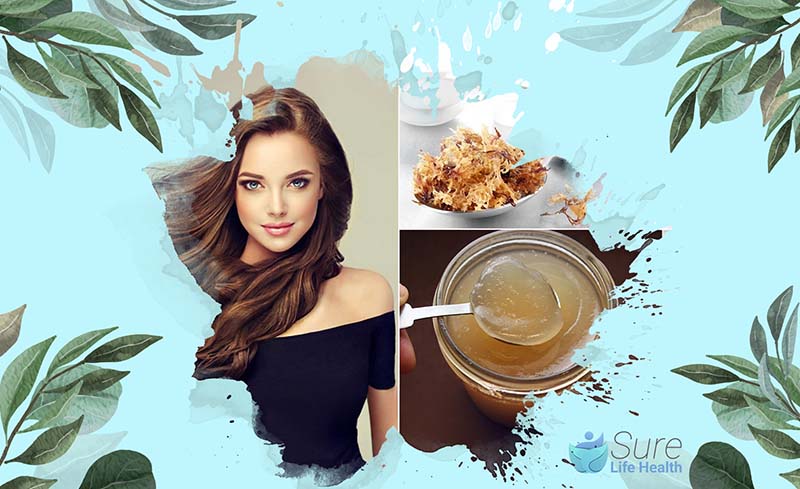 Is Sea Moss Good for Hair