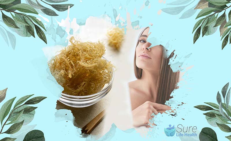 Is Sea Moss Good for Hair