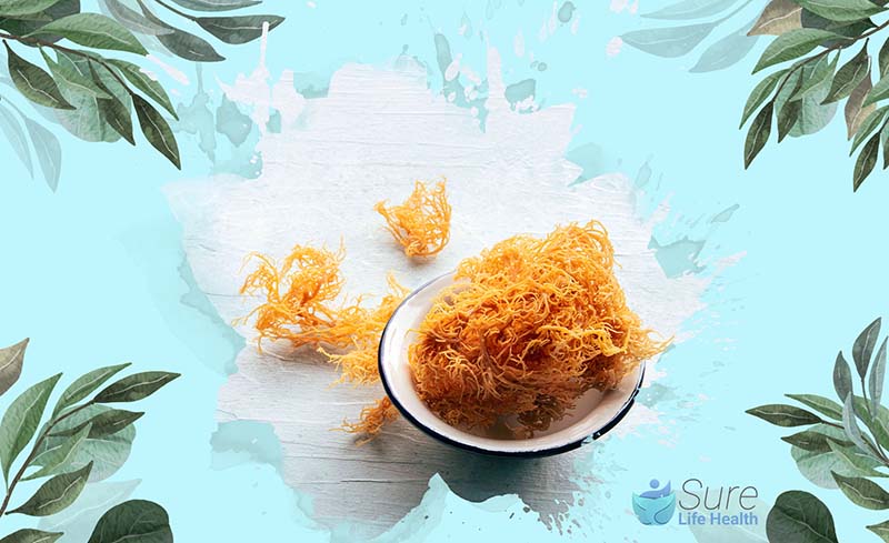 Is Sea Moss Good for Hair 