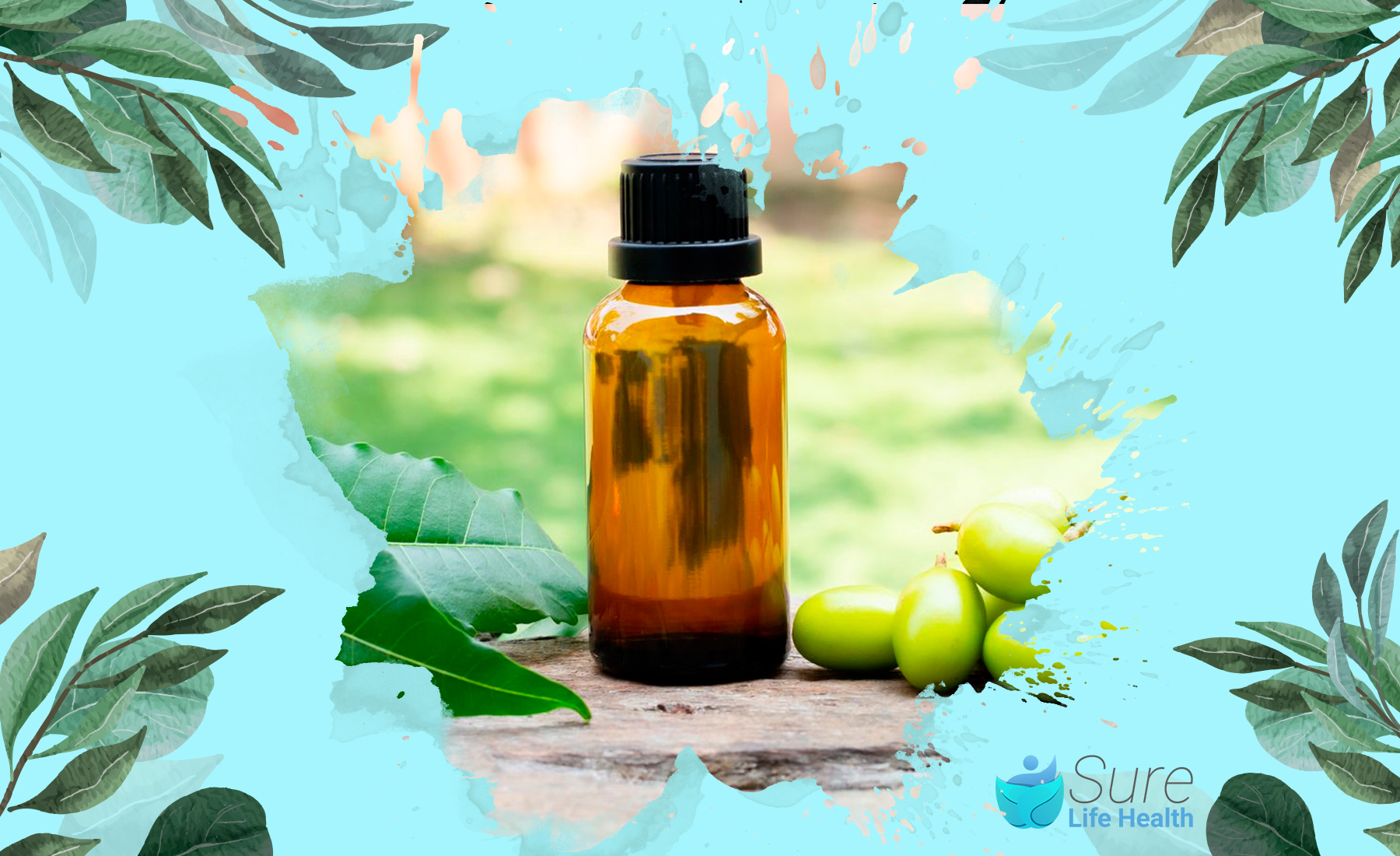 Neem Oil for Hair Benefits